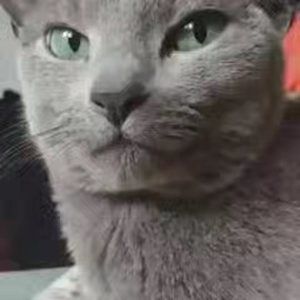 Meet your Posher, Marina